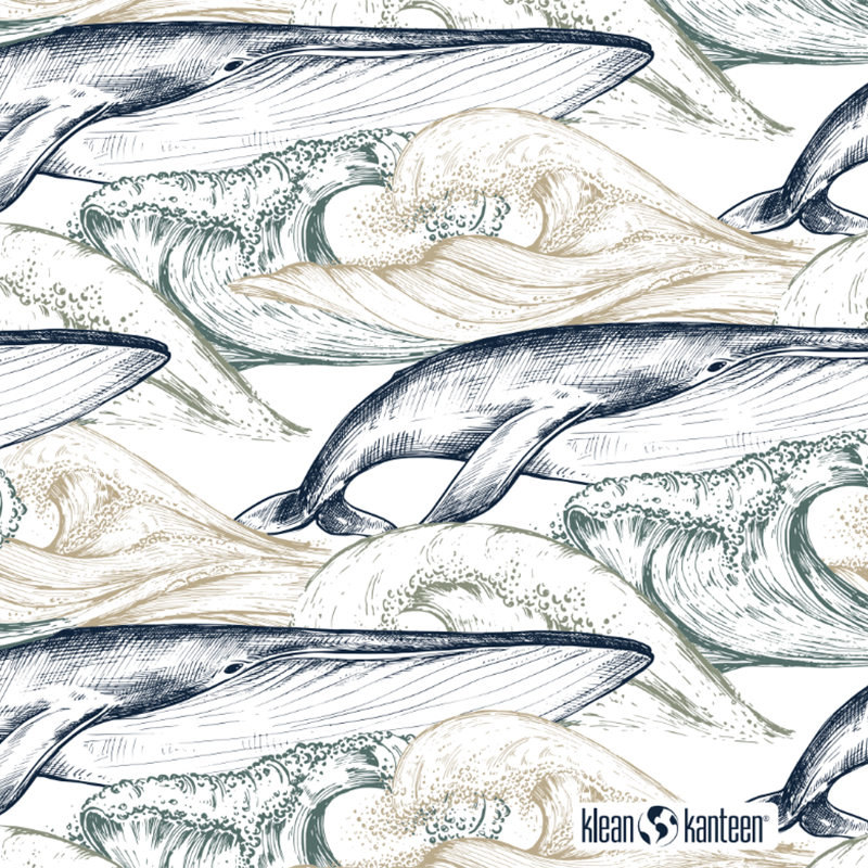 20oz-tkwide-with-twist-cap-ocean-day-k2 20oz_tkwide_bottle_seasonal_ocean_day_whale_artwork_square.png