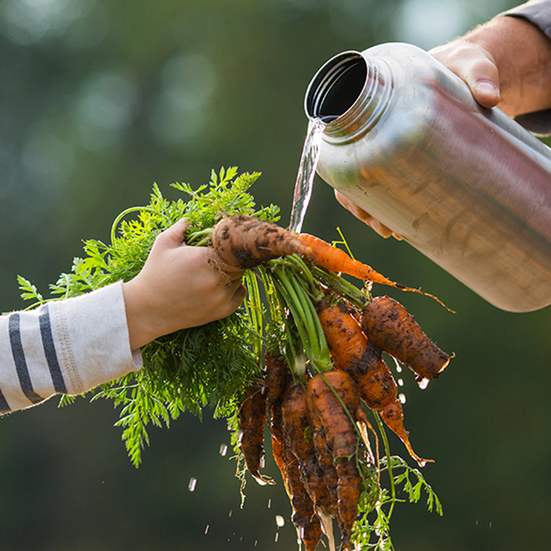 64oz-wide-with-loop-cap-p9 64oz_wide_mouth_bottle_carrots_rinse_square.jpg